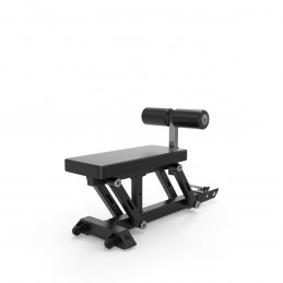 Toorx Lat machine/pulley...